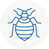 Bed Bug Extermination In E14
