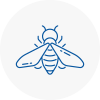 Bee Nest Removal E14