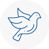 Bird Prevention E14