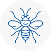 E14 Hornet Nest Removals