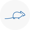 Mice Exterminators In E14