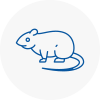 Rat Control E14