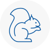 E14 Rodent Removals