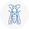 E14 Wasp Nest Removal